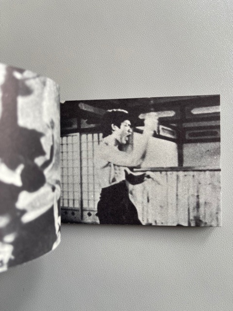 Bruce Lee : Motion Pictures on Paper