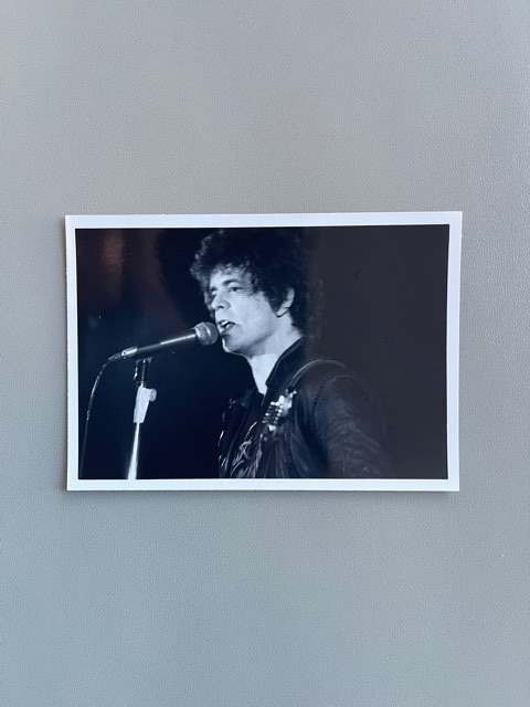Lou Reed / Concert Archives