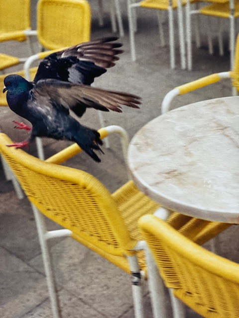 Dolce Via Nova