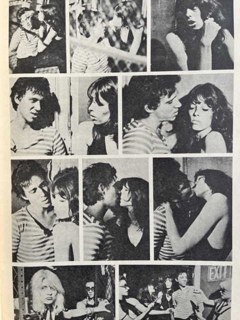 Punk Fotonovela (1976)